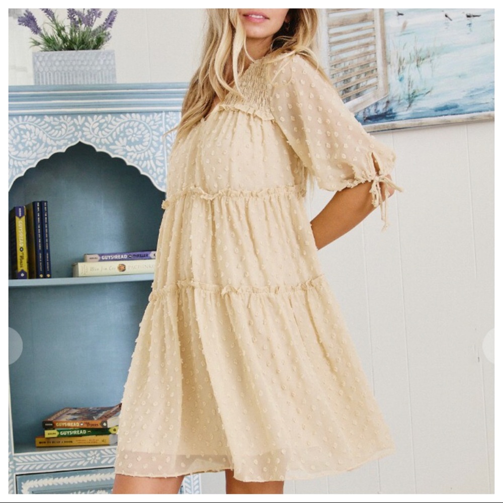 #15 Fabulous Puff Sleeve V neck Textured Dress - Picture 3 of 4